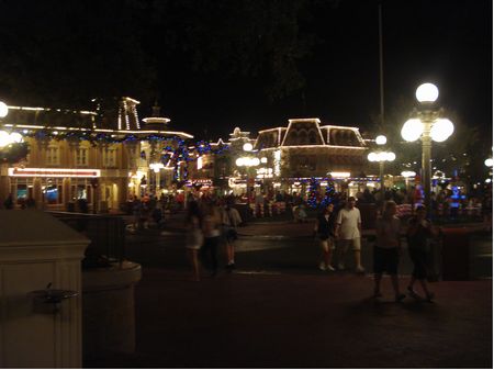 Walt Disney World's Magic Kingdom photo, from ThemeParkInsider.com